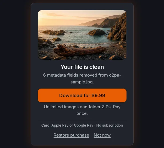 Paywall card Your file is clean with a Download for $9.99 button